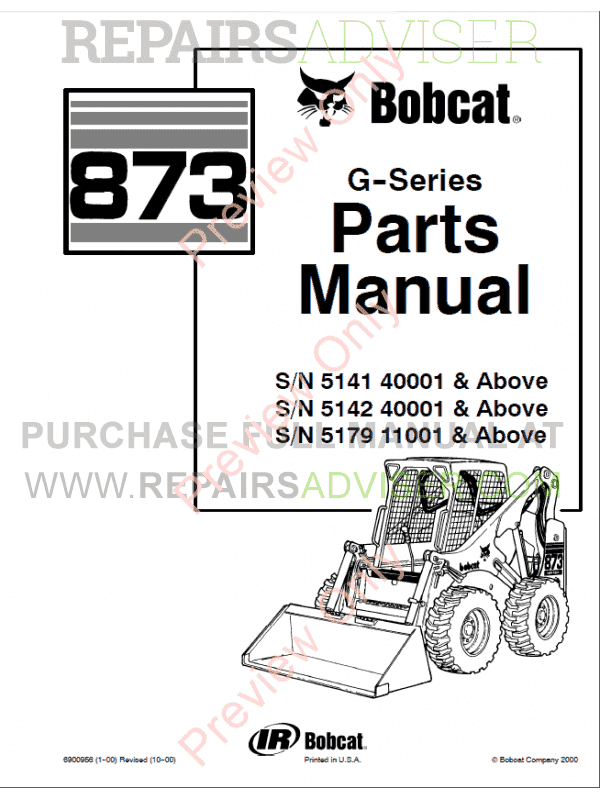 Bobcat C Series 873 Manual